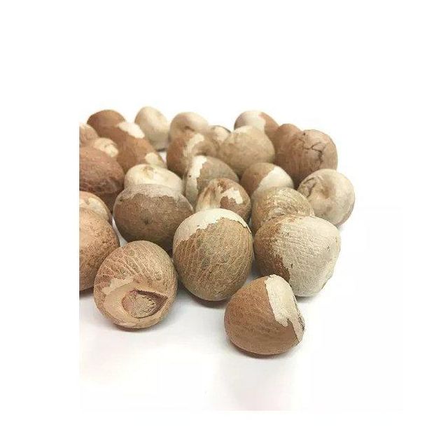 Premium Betel Nut Image 4
