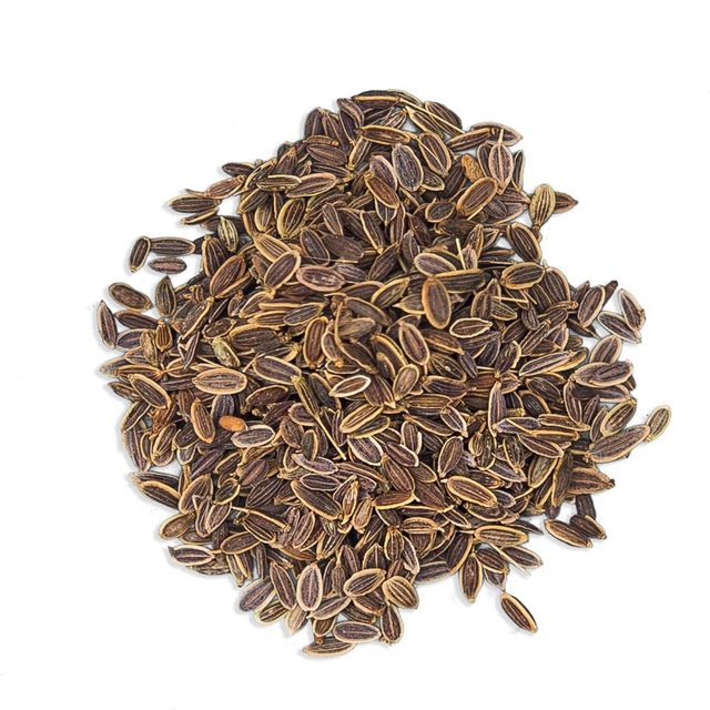Dill Seed Image 1