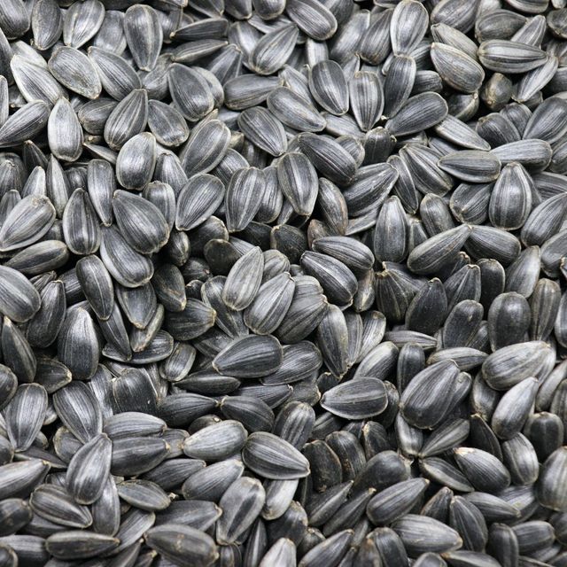 Bulk Sunflower Seed