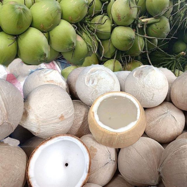 Golden Tropic Coconut Product