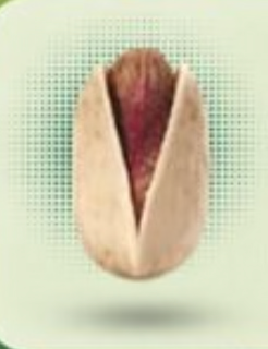 Ahmad Aghaei Pistachio 1