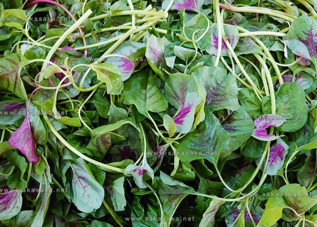Frozen Biteku Amaranth Leaves