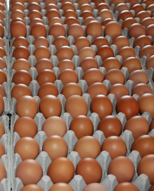 Fresh Brown and White Chicken Eggs