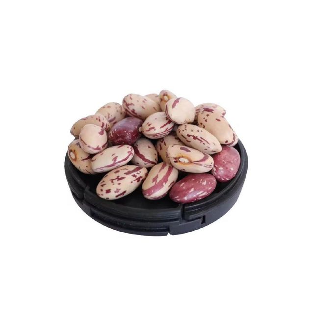 Sugar Beans