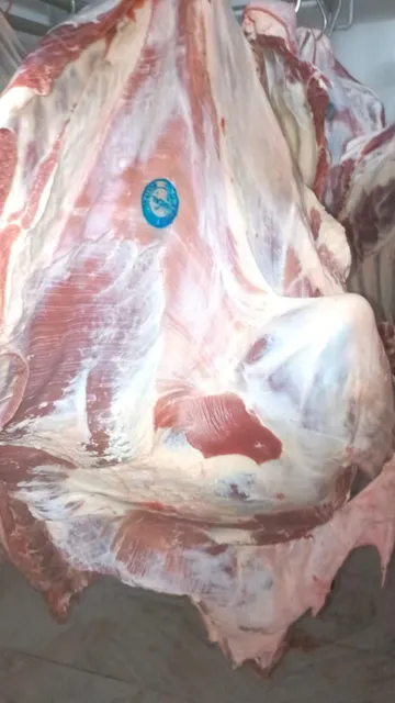 Fresh Chilled Bull Beef Raw Cuts