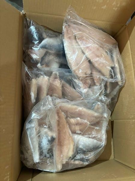 Fresh Horse Mackerel Fish Whole Round
