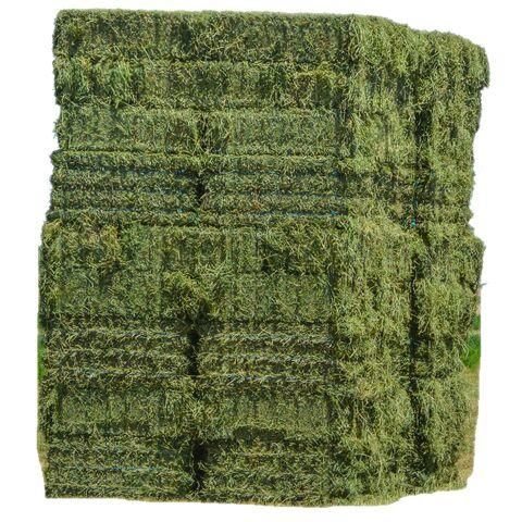 Alfalfa Pellet