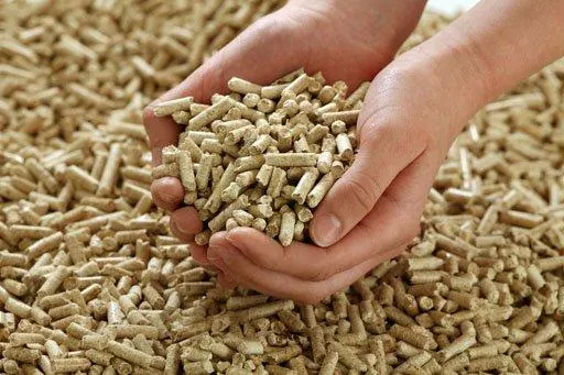 Bulk quantity of premium poplar wood pellets in bags