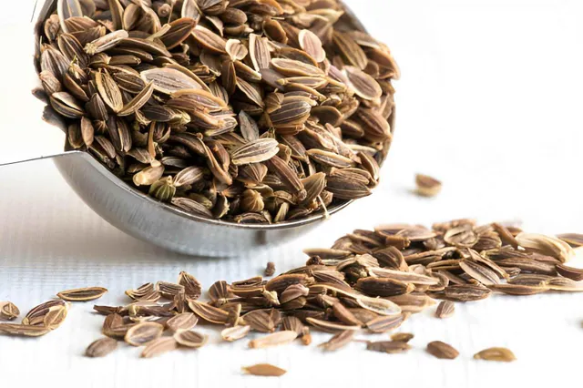 Close-up of Dill Seeds