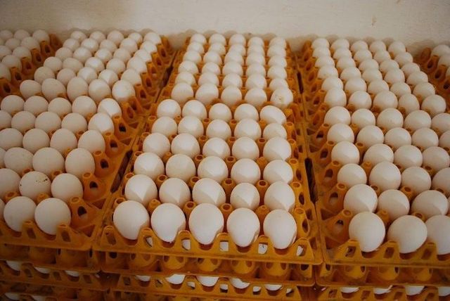Quail Eggs
