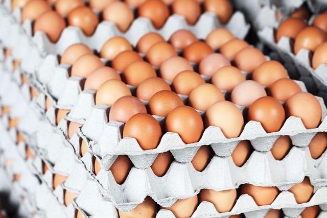 Brown Egg in Carton