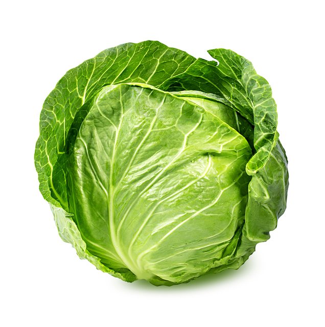 Fresh Green Cabbage