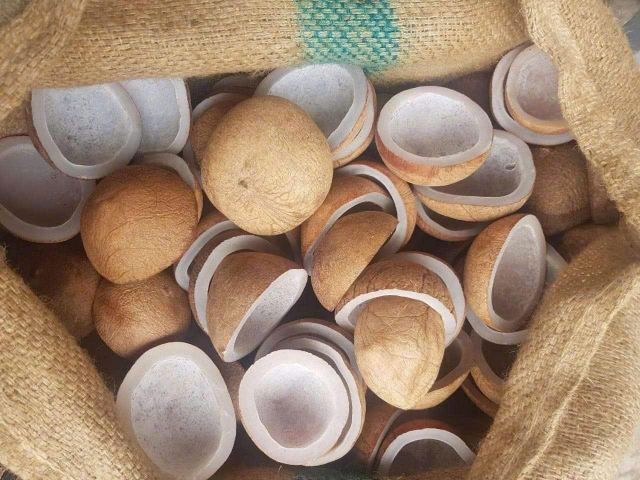 Edible Copra