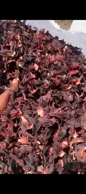 Hibiscus Product