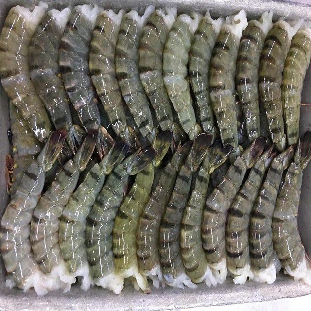 Frozen Black Tiger Shrimp