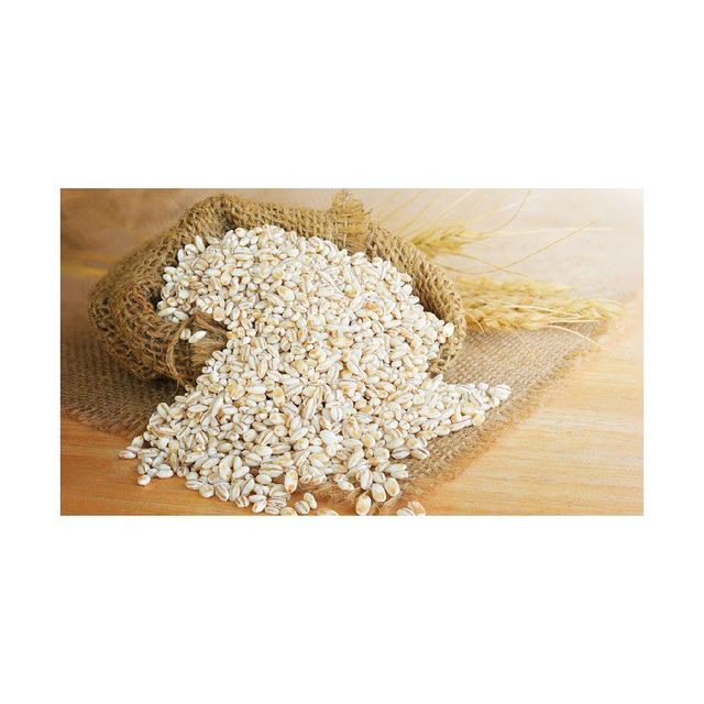 Barley Grain 1