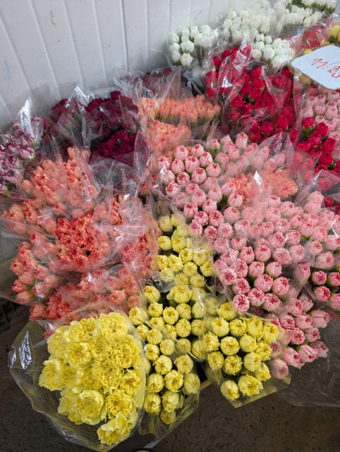 Fancy Select Carnations