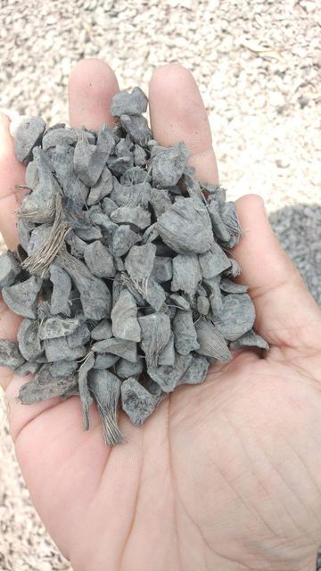 Palm Kernel Shell