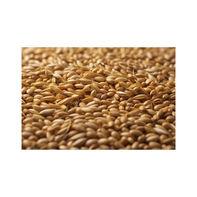 Barley seeds with farm equipment