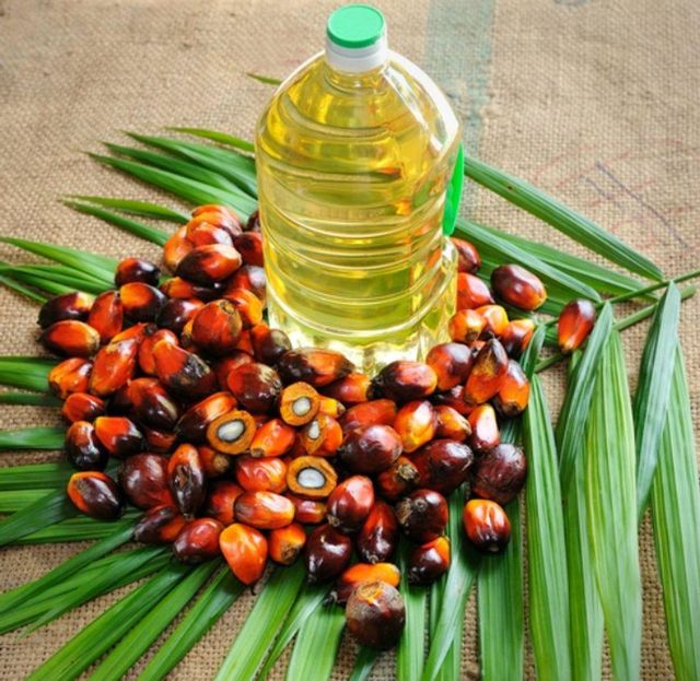 Refined Palm Oil Image 4