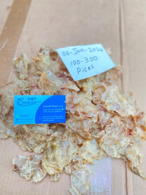 Cat Fish Maw