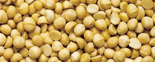 Premium Macadamia Nuts Products