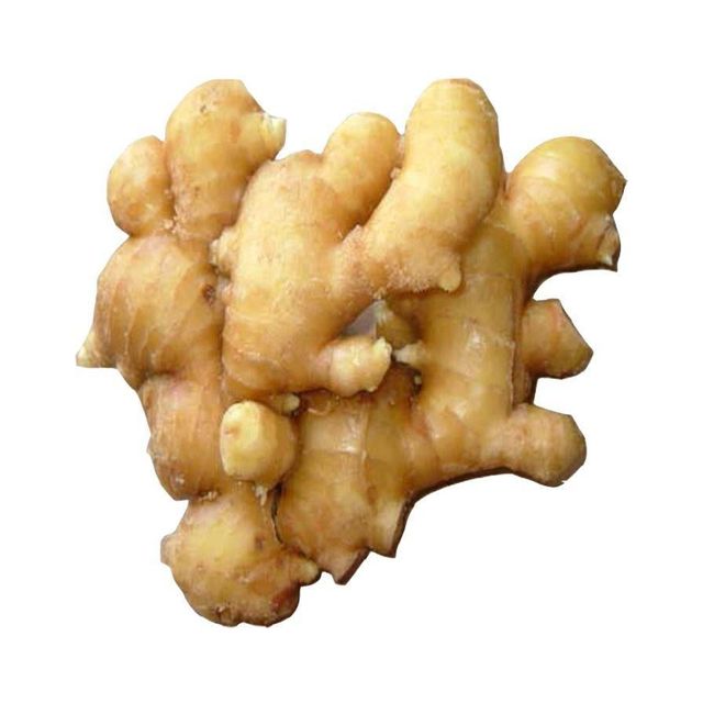Fresh ginger slice in packaging