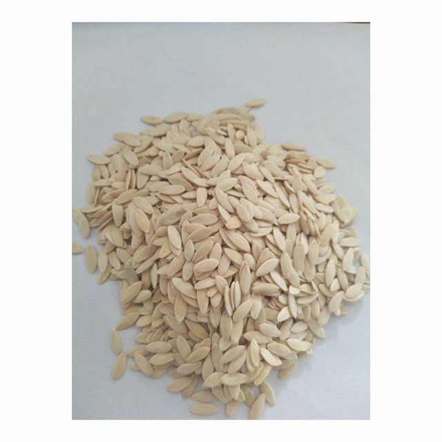 Cucumber Seeds 2