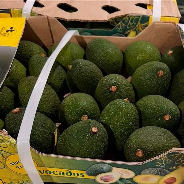 Organic Hass Avocado