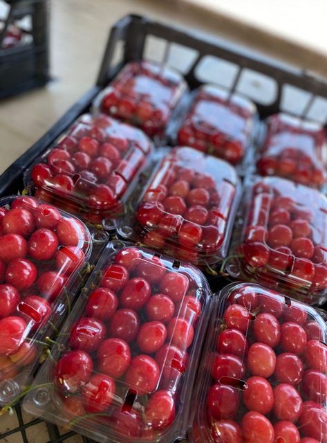 Fresh sweet cherries