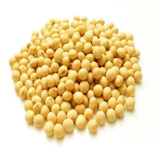 Soybeans Image 1