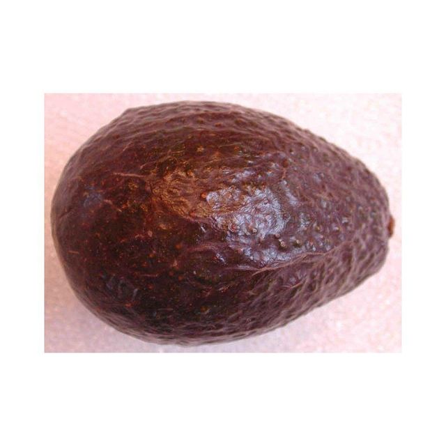 Fresh Avocado