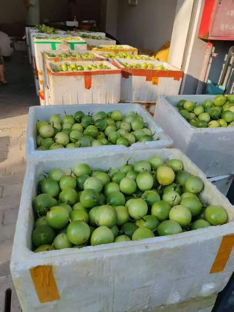 Passion Fruit