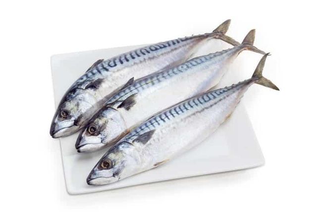 Fresh Fish Display