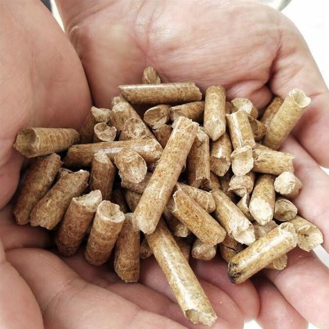 Wholesome Biomass Burner Powder