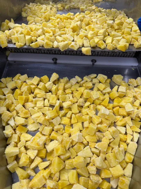 Frozen Pineapple Chunks Packaged