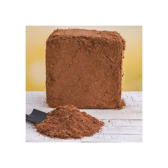 Coconut Peat - High Quality Organic Soil Amendment