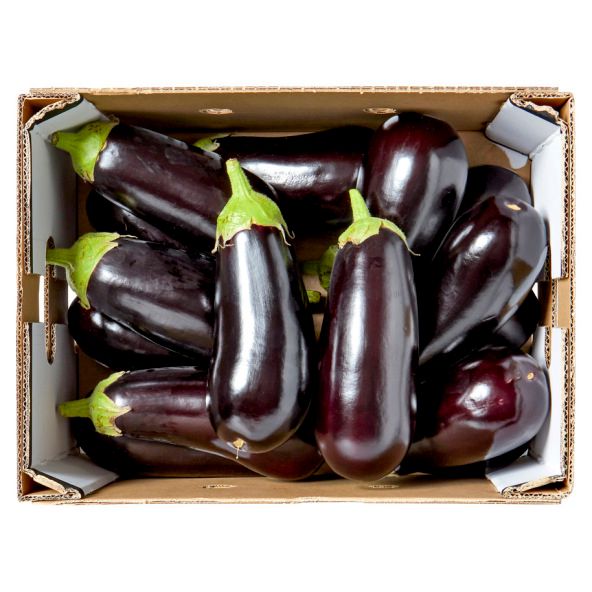 Black Eggplant 2