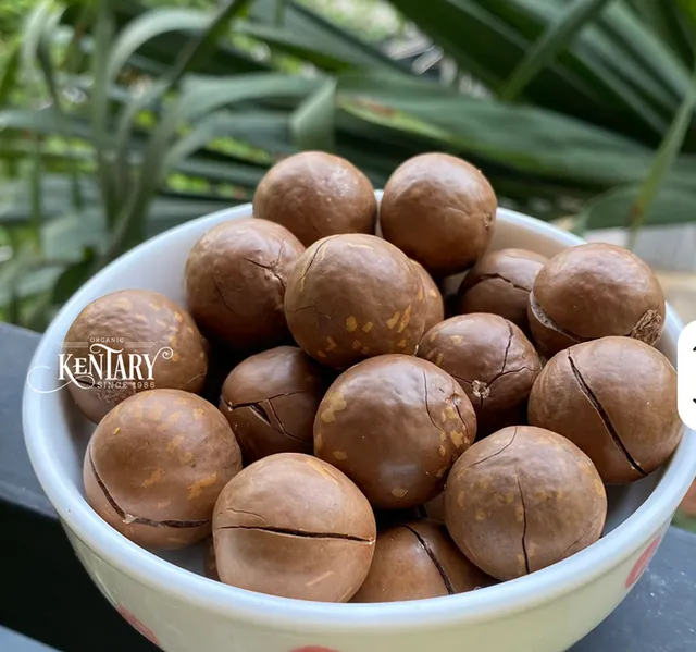 Natural Macadamia Nut Crackers