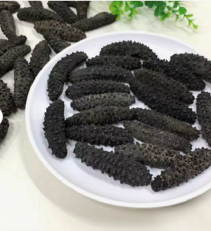 Dried Sea Cucumber