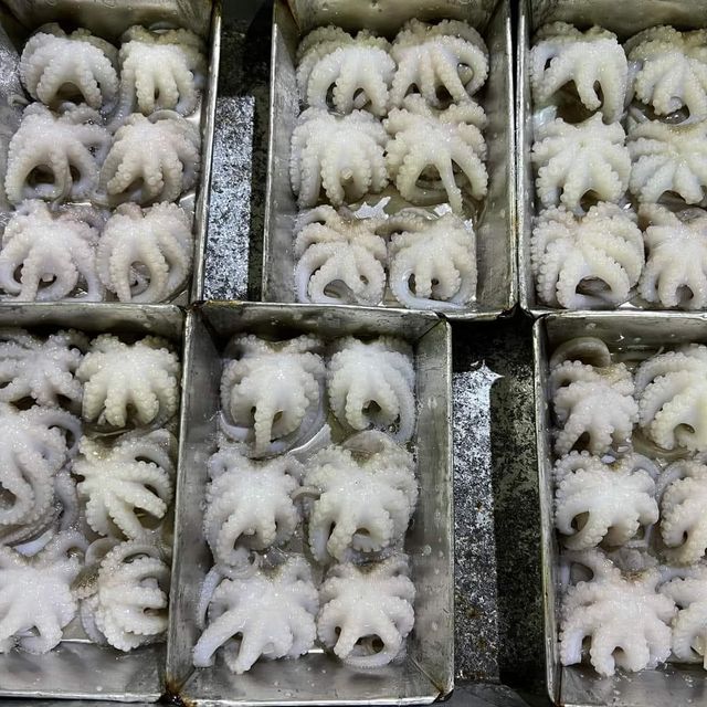 Frozen Baby Octopus Whole Clean