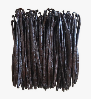 Vanilla Bean Close-up