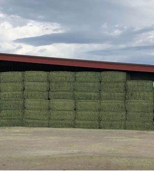 Alfalfa Hay Bale