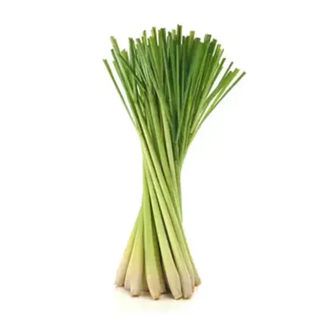 Lemon Grass Stalks Ready for Use