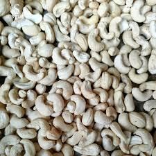 Cashew