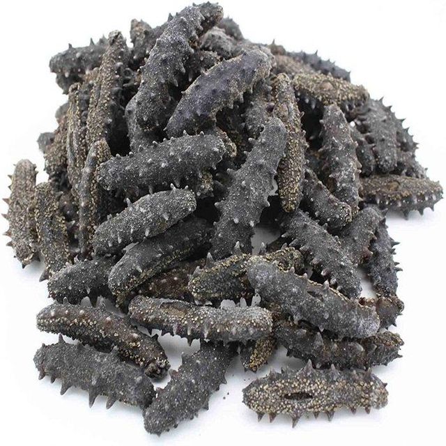 Dried Sea Cucumber 5