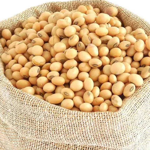 Soya Beans Image 5