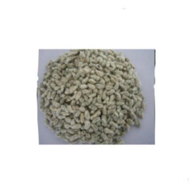 Cotton Seed