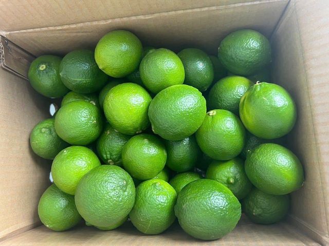 Vietnam Seedless Lemon