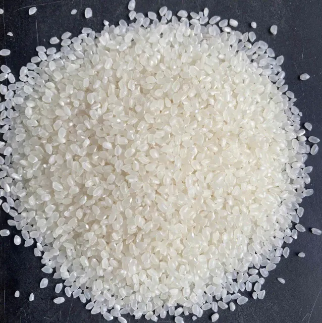 Japonica Rice - Sushi Rice Origin Vietnam